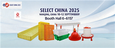 BYPC Poultry Plastic כדי להציג פתרונות חדשניים לגידול עופות בתערוכת נאנג'ינג ...