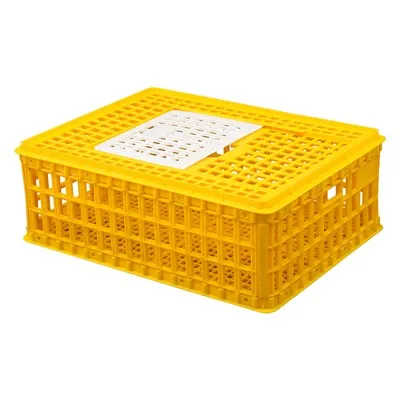 קופסת משלוח עוף מפלסטיק