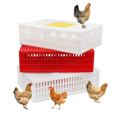 ארגז הובלה מפלסטיק לעופות חיים